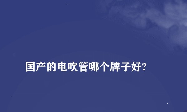 
国产的电吹管哪个牌子好?

