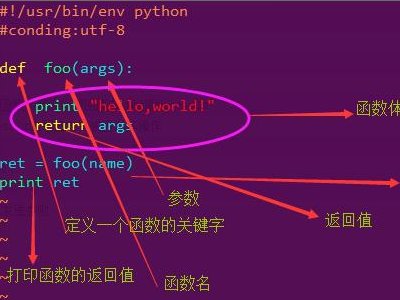 请问Arg函数是什么啊