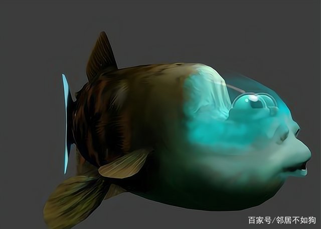 令人害怕的马里亚纳海沟,里面到底有什么生物存在?