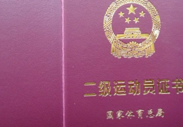 二级运动员标准是什么?