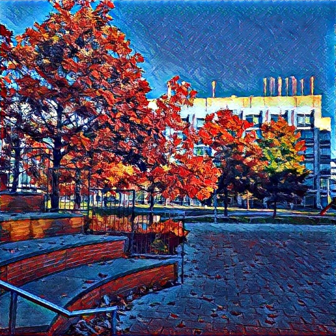 哈佛峰会HWeek/XWeek值得去吗?