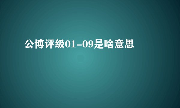 公博评级01-09是啥意思