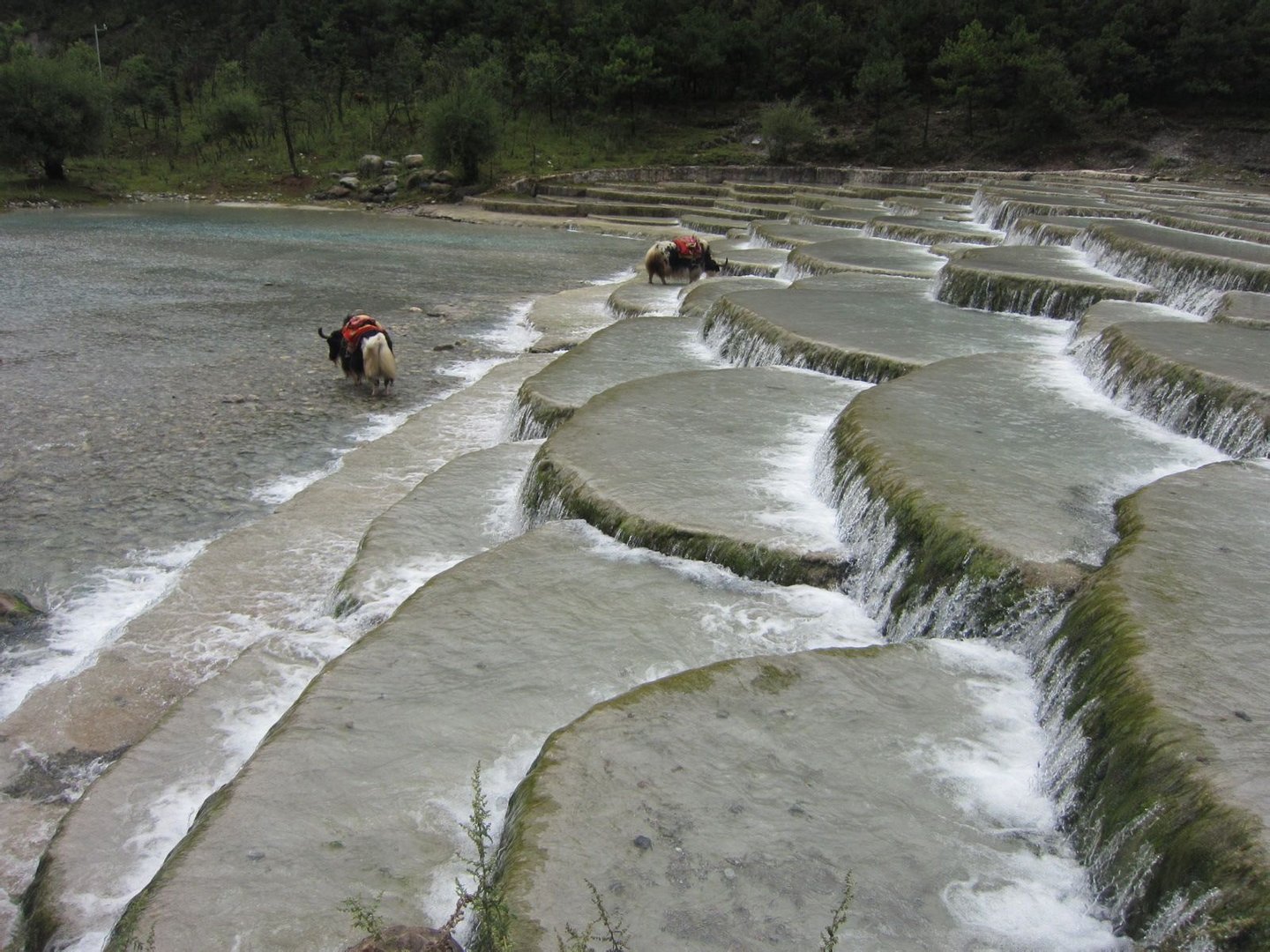 丽江旅游 丽江怎么去玉龙雪山