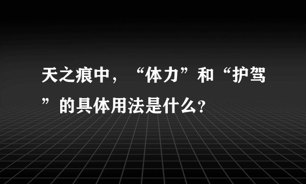 天之痕中,“体力”和“护驾”的具体用法是什么?