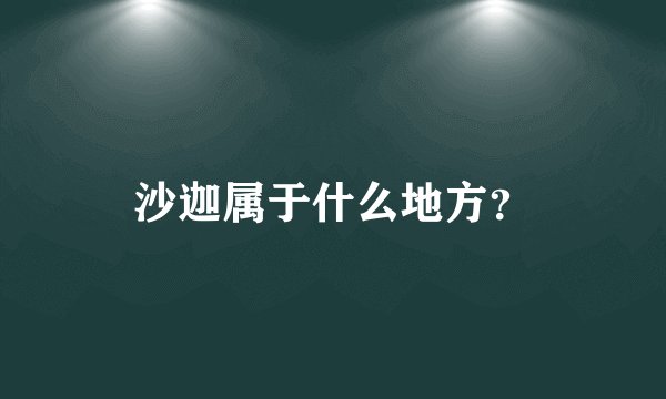 沙迦属于什么地方？