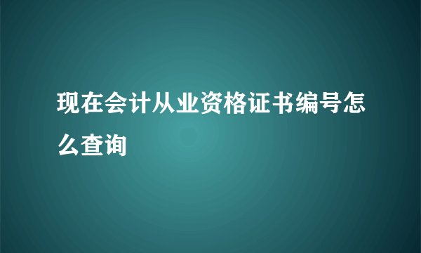 现在会计从业资格证书编号怎么查询