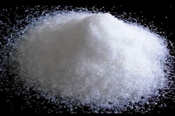 什么是蔗糖素？