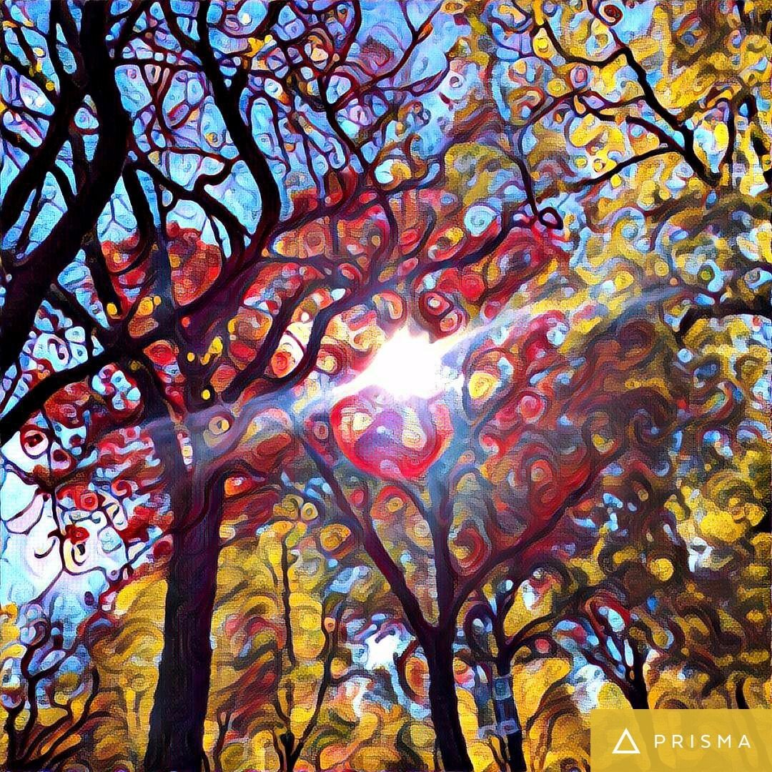 哈佛峰会HWeek/XWeek值得去吗?