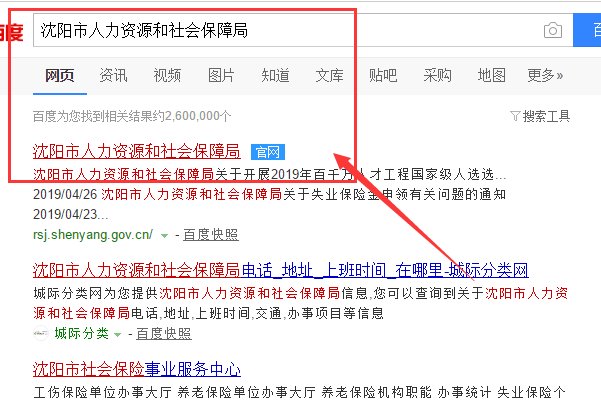 沈阳市失业保险个人缴费记录怎么查询