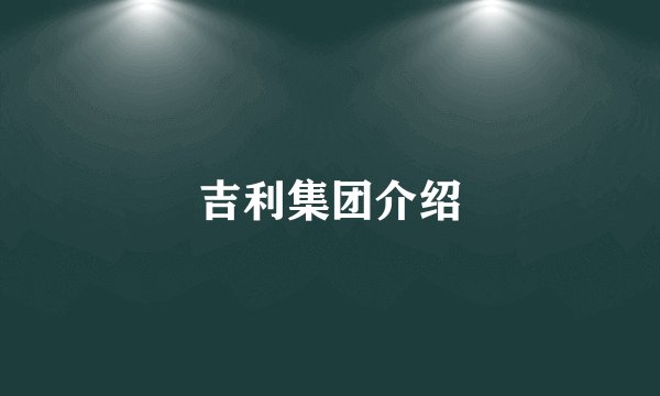 吉利集团介绍