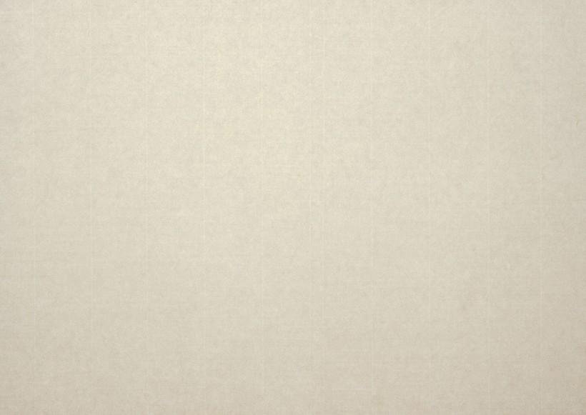 什么是素色背景照片