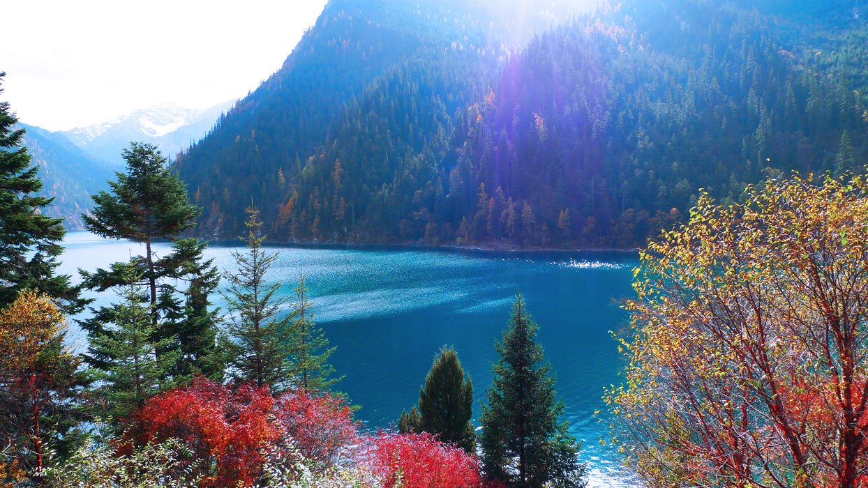 四川九沟寨地震是什么时候？