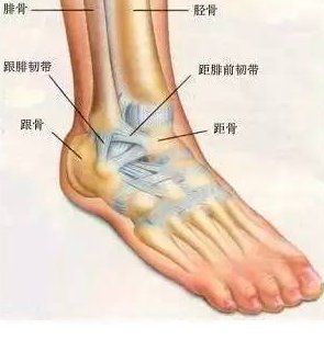 露脚踝对人体有什么危害？