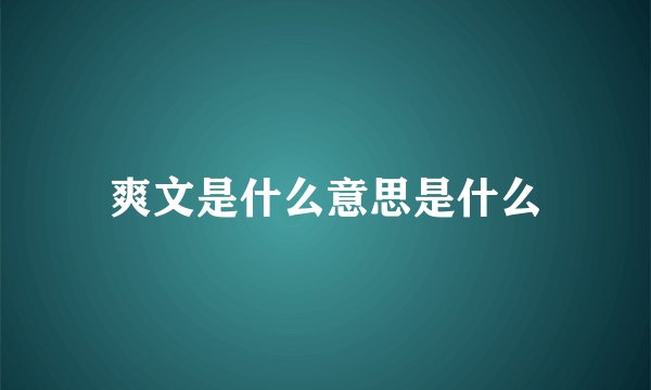 爽文是什么意思是什么