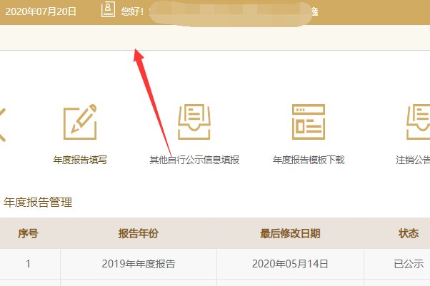 国家企业信息公示系统（湖北）