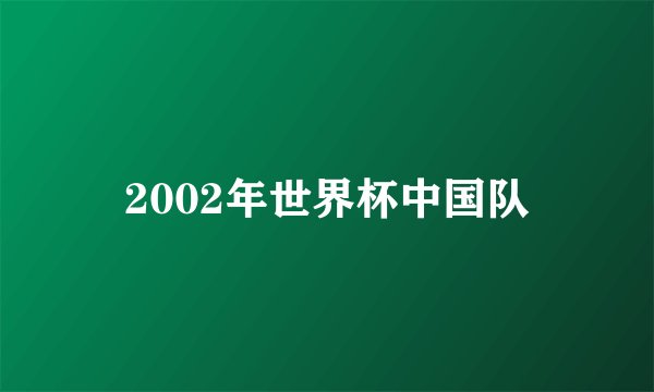 2002年世界杯中国队