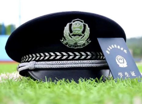 南京森林警察学院的就业情况如何?