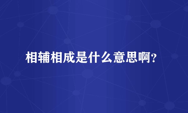 相辅相成是什么意思啊？