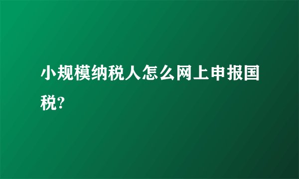 小规模纳税人怎么网上申报国税?