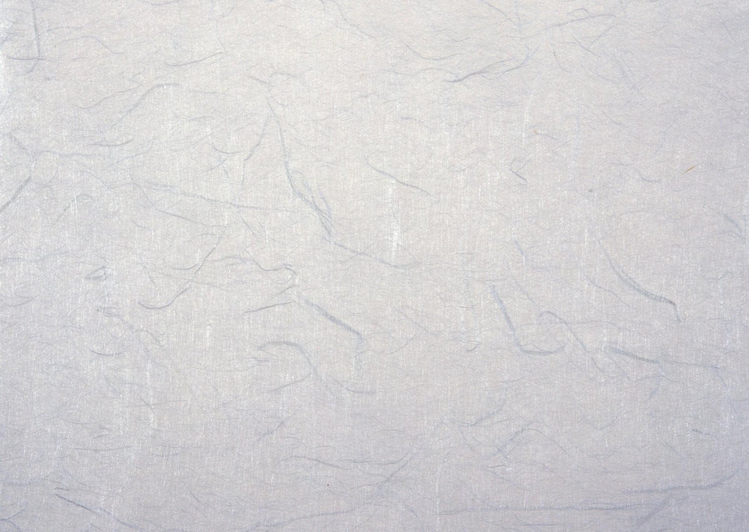 什么是素色背景照片