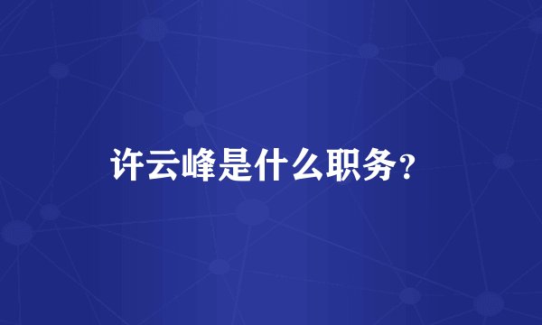 许云峰是什么职务？