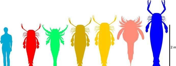 板足鲎类是什么？它们是什么原因灭绝的？