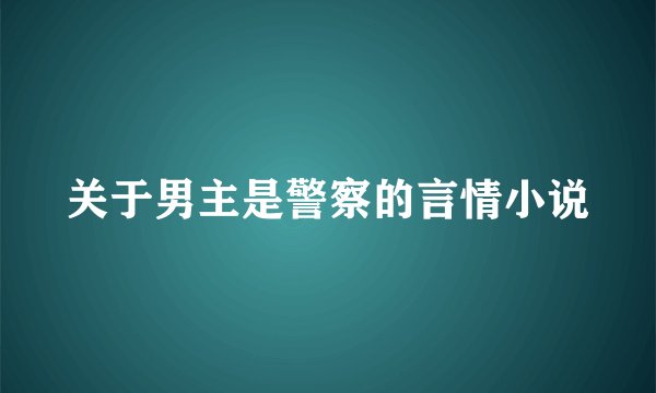 关于男主是警察的言情小说