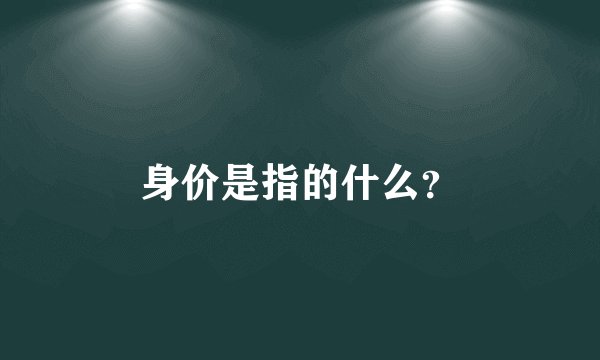 身价是指的什么？