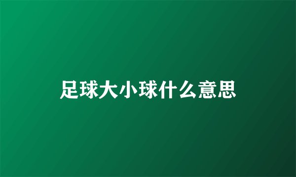 足球大小球什么意思