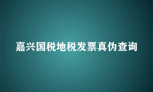 嘉兴国税地税发票真伪查询
