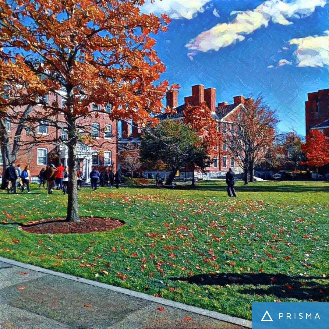 哈佛峰会HWeek/XWeek值得去吗?