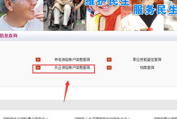 沈阳市失业保险个人缴费记录怎么查询