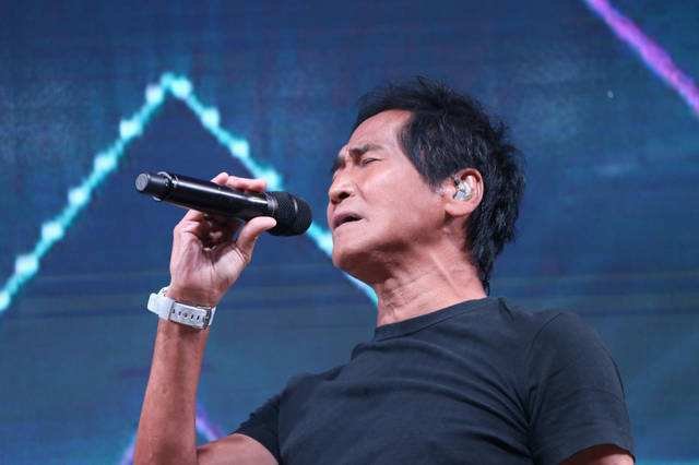 为何相爱不能相守，这句歌词出自哪首歌