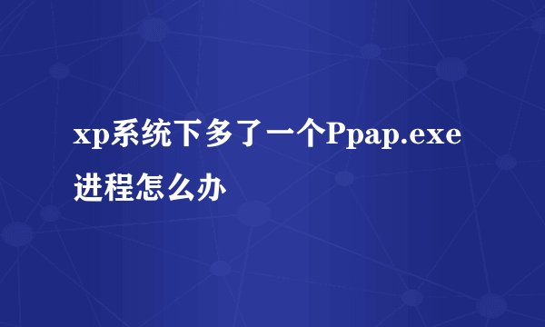 xp系统下多了一个Ppap.exe进程怎么办
