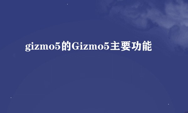 gizmo5的Gizmo5主要功能