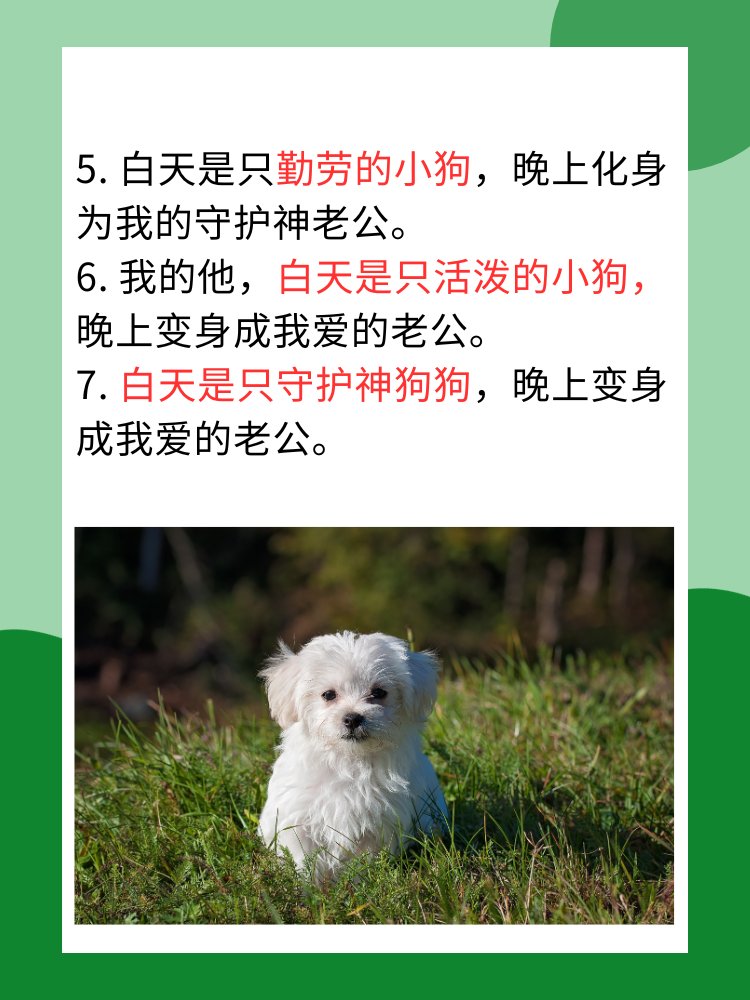 白天是狗晚上是老公的说说