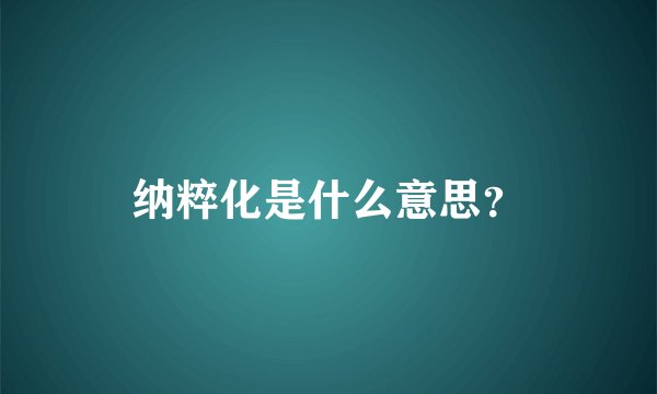 纳粹化是什么意思？