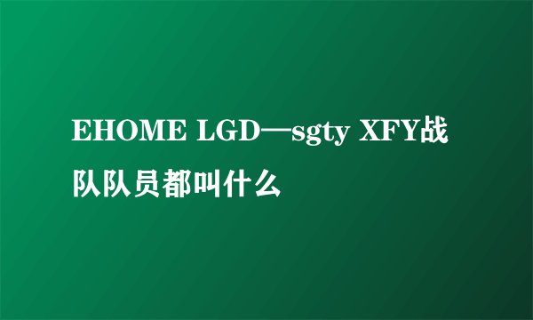 EHOME LGD—sgty XFY战队队员都叫什么