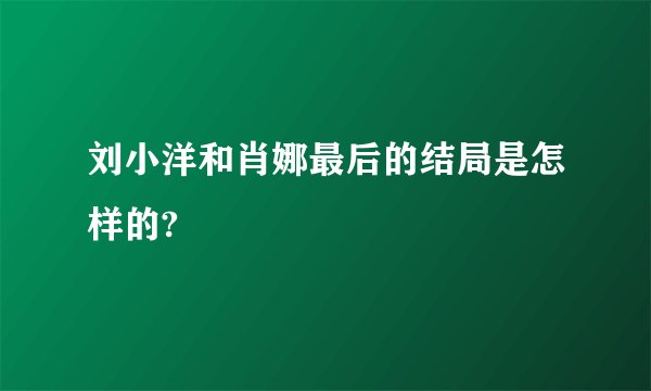 刘小洋和肖娜最后的结局是怎样的?