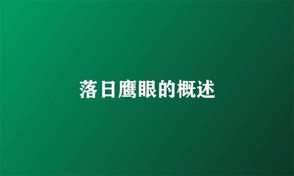 落日鹰眼的概述