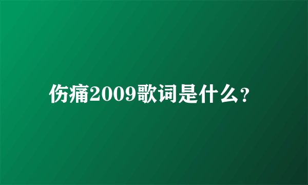 伤痛2009歌词是什么？