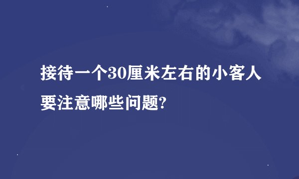 接待一个30厘米左右的小客人要注意哪些问题?