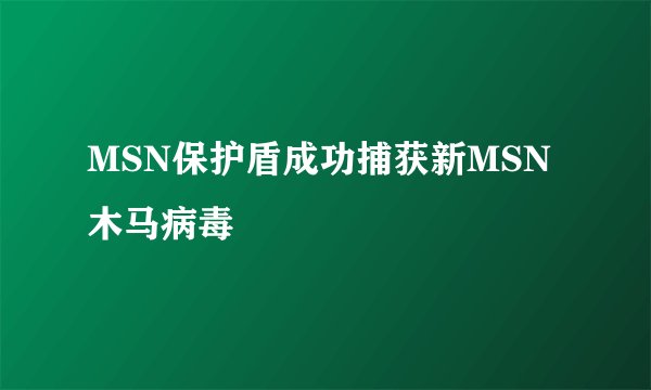 MSN保护盾成功捕获新MSN木马病毒