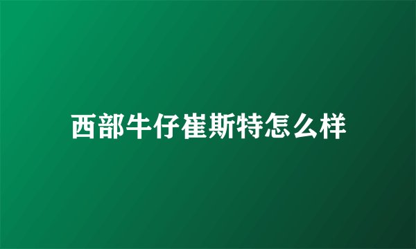 西部牛仔崔斯特怎么样