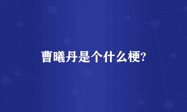 曹曦丹是个什么梗?