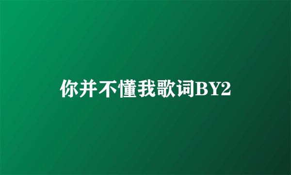 你并不懂我歌词BY2