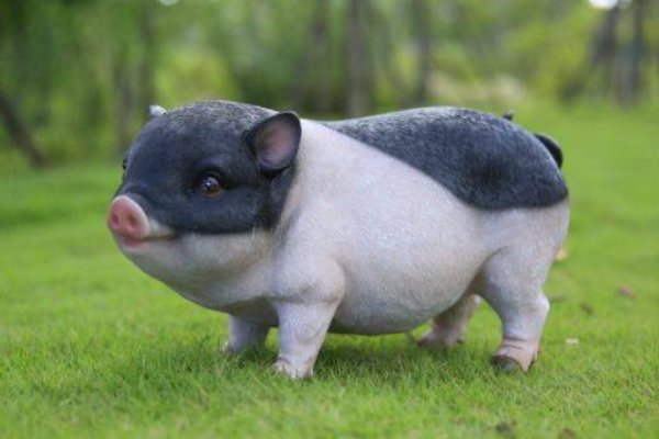 牙爪之士打一动物