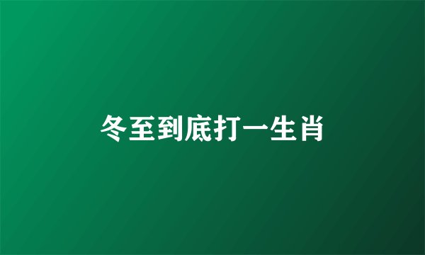 冬至到底打一生肖