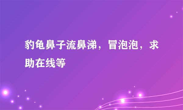 豹龟鼻子流鼻涕，冒泡泡，求助在线等
