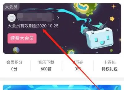 什么是大会员，有什么用？